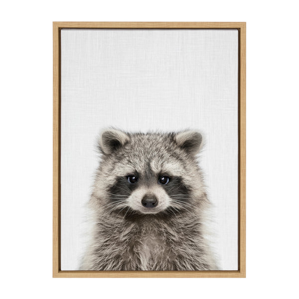 Kate & Laurel Sylvie Raccoon Color Framed Canvas By Simon Te Of Tai Prints