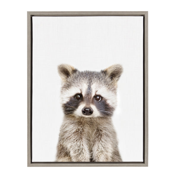 kate & laurel Sylvie Raccoon Framed Canvas by Amy Peterson Art Studio
