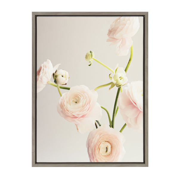 kate & laurel Sylvie Ranunculus Framed Canvas by Caroline Mint