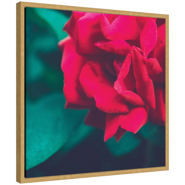 kate & laurel Sylvie Red Velvet Garden Rose Framed Canvas by Stephanie Klatt