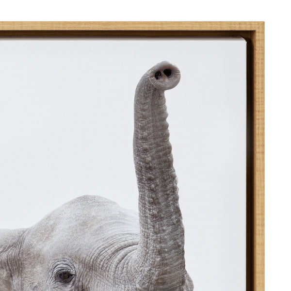 Kate & Laurel Sylvie Safari Animal Framed Canvas Art Set By Amy Peterson