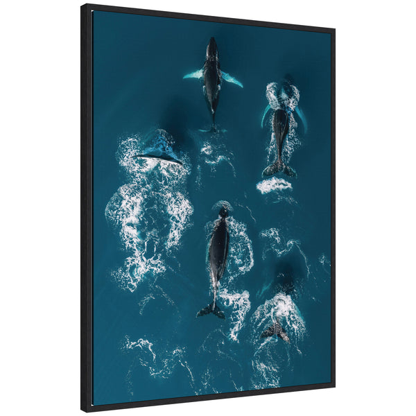 kate & laurel Sylvie School of Humpback Whales in the Blue Ocean Framed Canvas by Michael Schauer