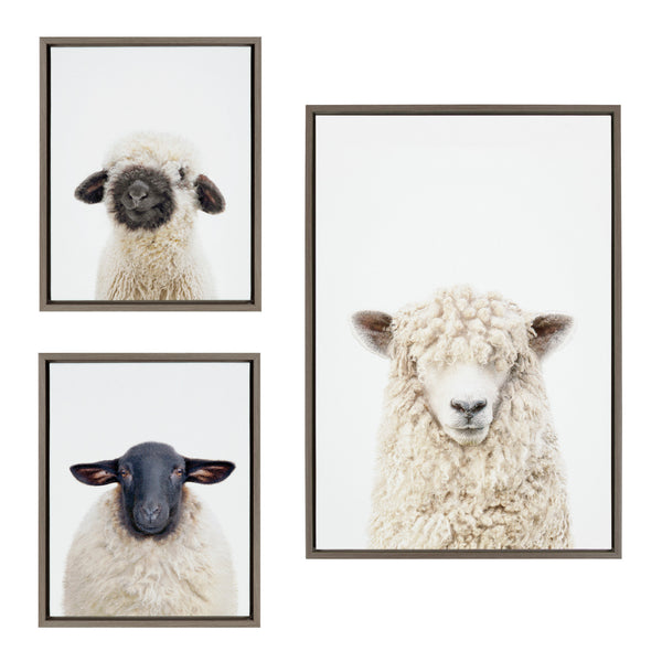 Kate & Laurel Sylvie Sheep Bangs Portrait Animal Studio Black Nosed Sheep And Dorper Sheep Framed Canvas Art Set By Amy Petrson Art Studio