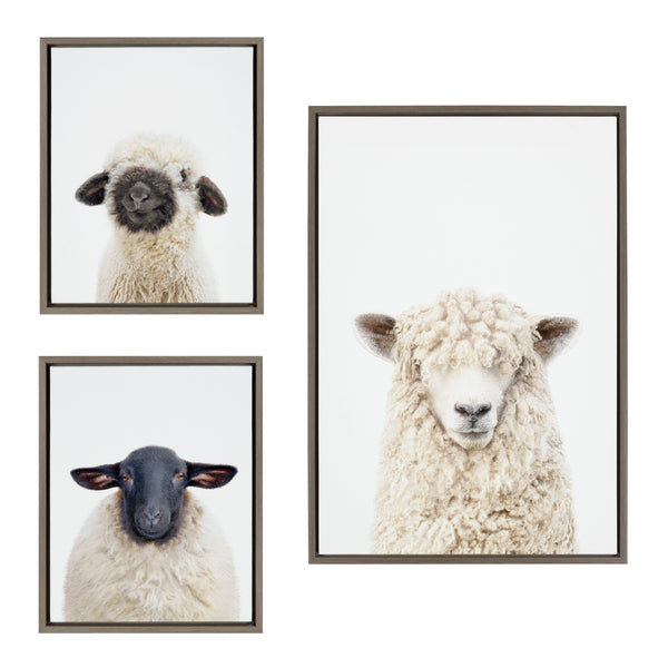 kate & laurel Sylvie Sheep Bangs Portrait Animal Studio Black Nosed Sheep and Dorper Sheep Framed Canvas Art Set by Amy Petrson Art Studio