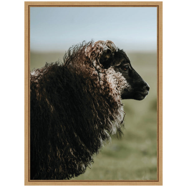 Kate & Laurel Sylvie Sheeply In Love 1 Framed Canvas By Michael Schauer