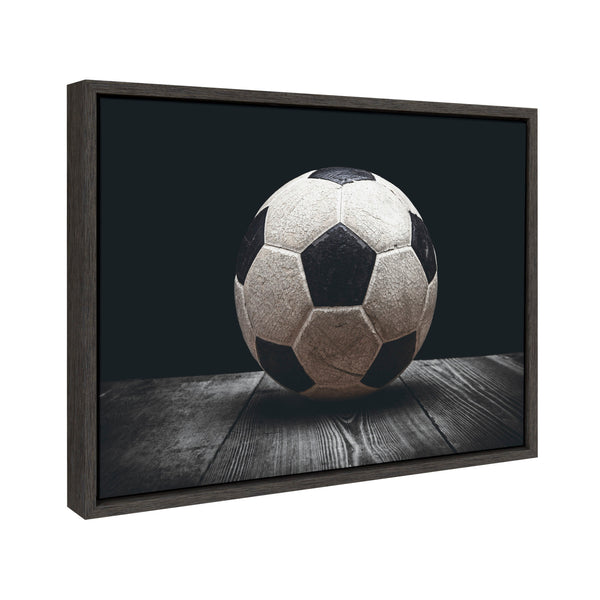 Kate & Laurel Sylvie Soccer Ball Framed Canvas By Shawn St. Peter