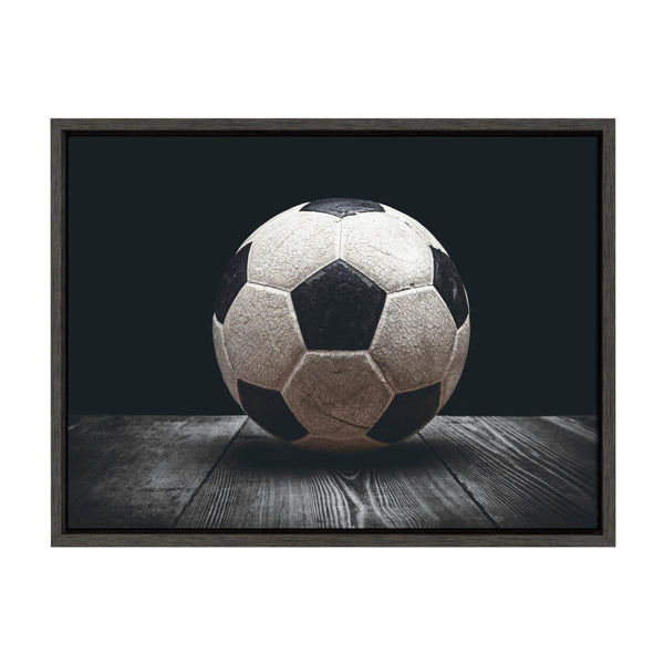 kate & laurel Sylvie Soccer Ball Framed Canvas by Shawn St. Peter