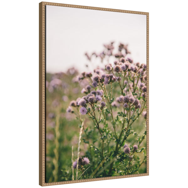 kate & laurel Sylvie Soft Purple Flower Blooms Framed Canvas by Patricia Hasz of Patricia Rae Photography