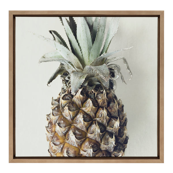 Kate & Laurel Sylvie Solo Pineapple Framed Canvas By Emiko And Mark Franzen Of F2Images