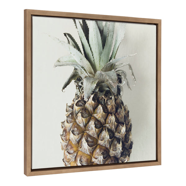 kate & laurel Sylvie Solo Pineapple Framed Canvas by Emiko and Mark Franzen of F2Images
