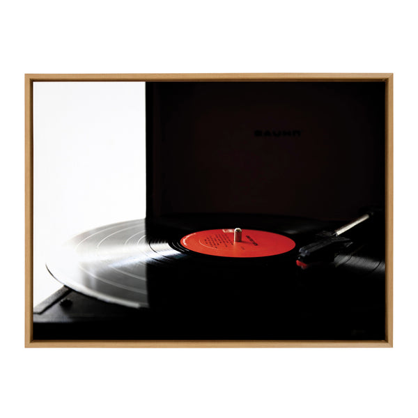 Kate & Laurel Sylvie Spin Framed Canvas By Alicia Abla