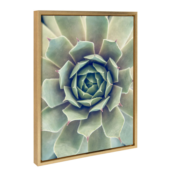 Kate & Laurel Sylvie Succulent 1 Framed Canvas By F2 Images