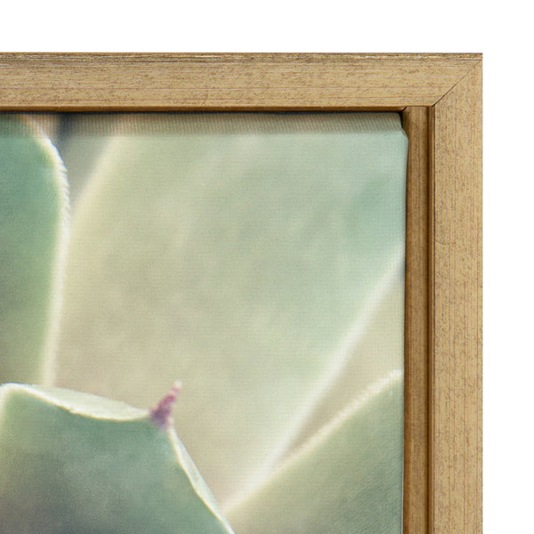 Kate & Laurel Sylvie Succulent 1 Framed Canvas By F2 Images