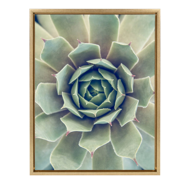 kate & laurel Sylvie Succulent 1 Framed Canvas by F2 Images