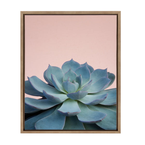 Kate & Laurel Sylvie Succulent 10 Framed Canvas By F2 Images