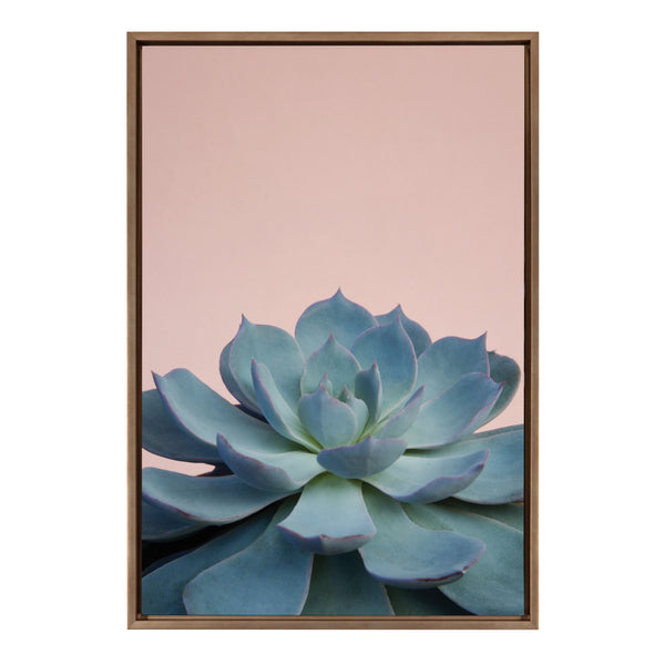 kate & laurel Sylvie Succulent 10 Framed Canvas by F2 Images