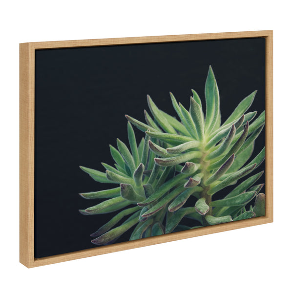 Kate & Laurel Sylvie Succulent 13 Framed Canvas By F2 Images