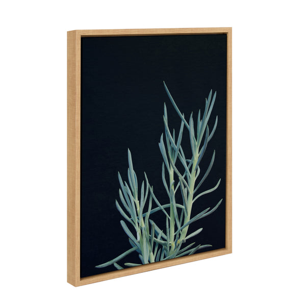 Kate & Laurel Sylvie Succulent 16 Framed Canvas By F2 Images