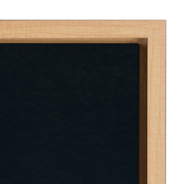 Kate & Laurel Sylvie Succulent 16 Framed Canvas By F2 Images