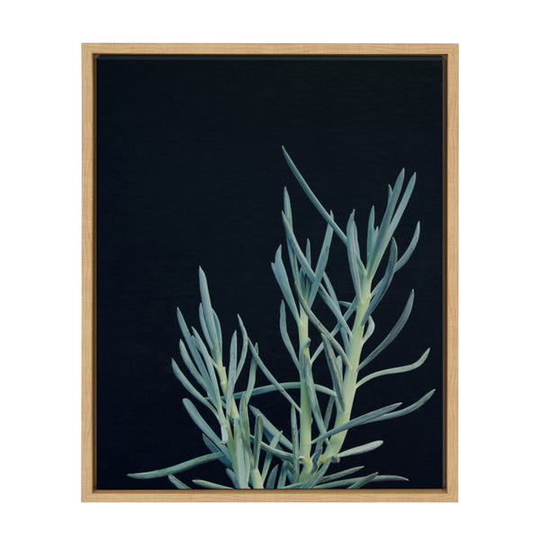 kate & laurel Sylvie Succulent 16 Framed Canvas by F2 Images
