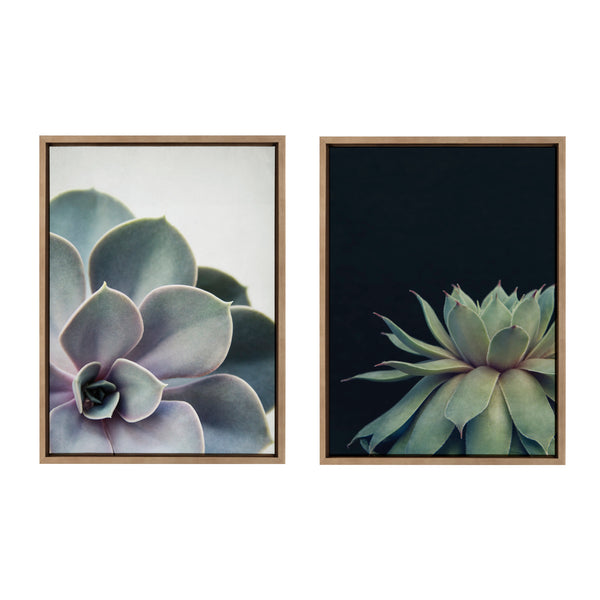 Kate & Laurel Sylvie Succulent 5 And Succulent 8 Framed Canvas By Emiko And Mark Franzen Of F2Images