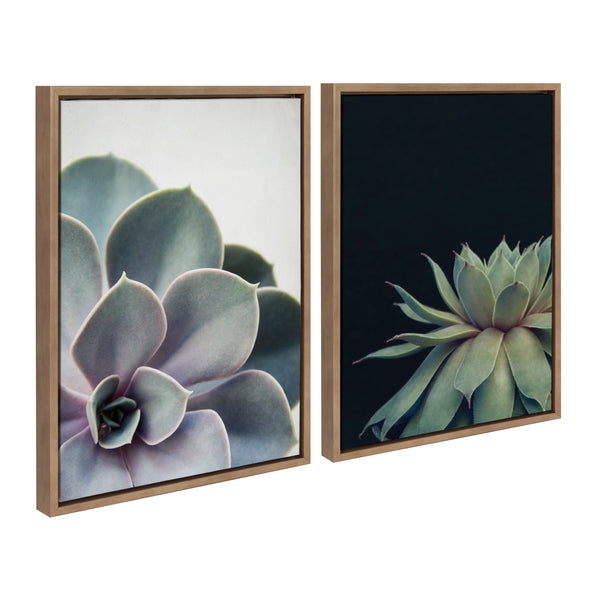 kate & laurel Sylvie Succulent 5 and Succulent 8 Framed Canvas by Emiko and Mark Franzen of F2Images