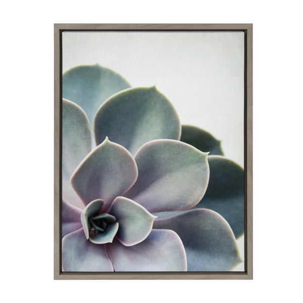 Kate & Laurel Sylvie Succulent 5 Framed Canvas By F2 Images