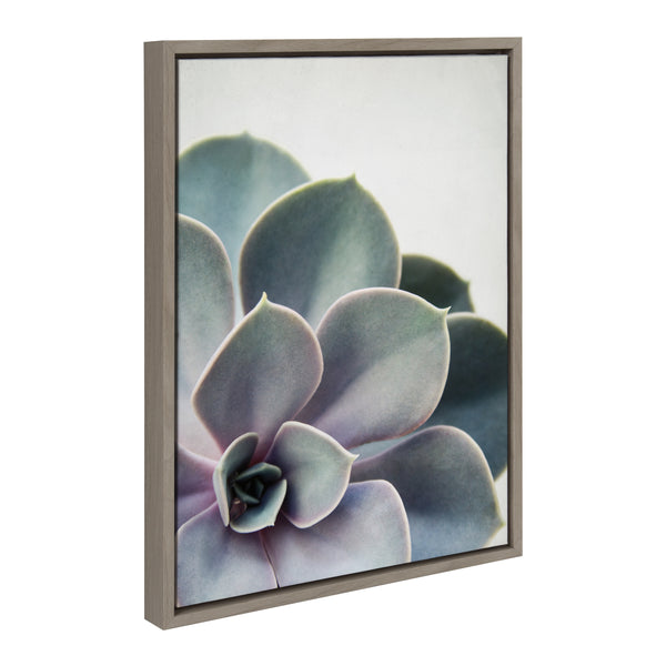 Kate & Laurel Sylvie Succulent 5 Framed Canvas By F2 Images