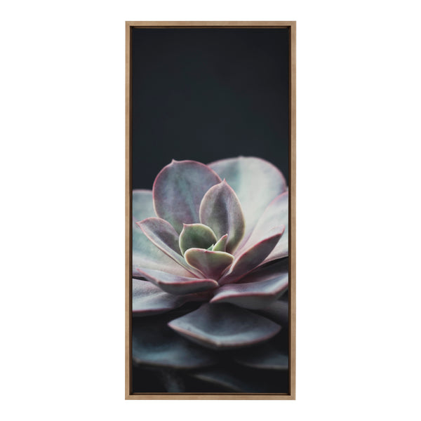 kate & laurel Sylvie Succulent 5 Framed Canvas by F2 Images
