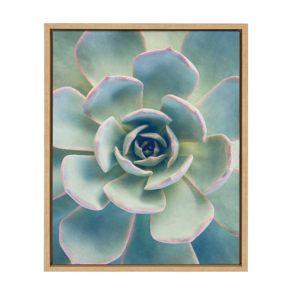 Kate & Laurel Sylvie Succulent 7 Framed Canvas By F2 Images