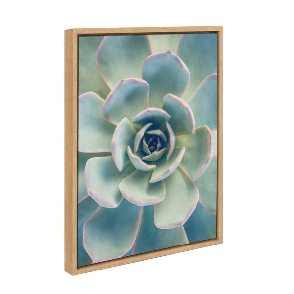 Kate & Laurel Sylvie Succulent 7 Framed Canvas By F2 Images