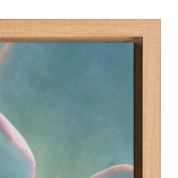 Kate & Laurel Sylvie Succulent 7 Framed Canvas By F2 Images