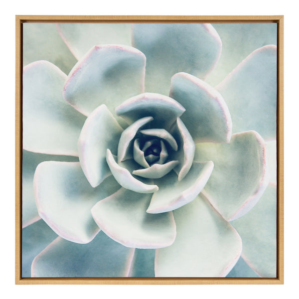 kate & laurel Sylvie Succulent 7 Framed Canvas by F2 Images