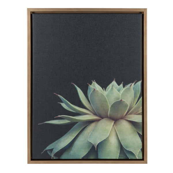 kate & laurel Sylvie Succulent Framed Canvas by F2 Images