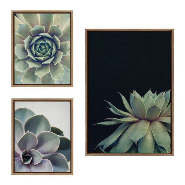 Kate & Laurel Sylvie Succulent Framed Canvas Set By Emiko And Mark Franzen Of F2Images