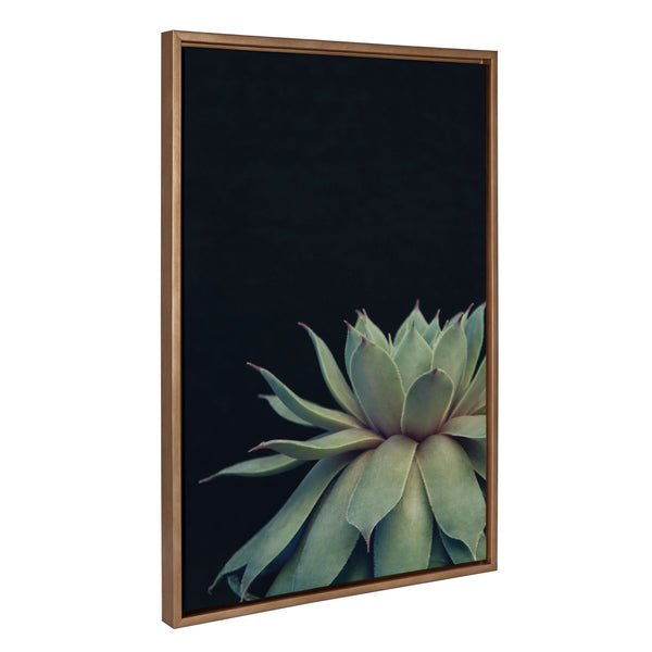 Kate & Laurel Sylvie Succulent Framed Canvas Set By Emiko And Mark Franzen Of F2Images