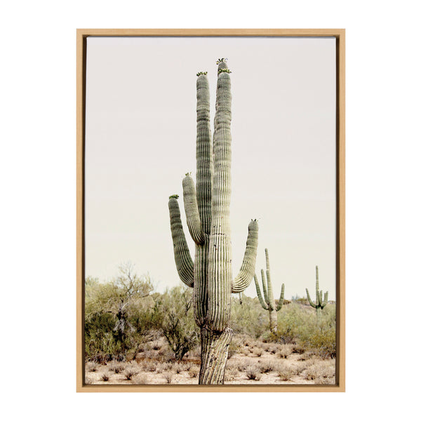 Kate & Laurel Sylvie Sunrise Cactus Framed Canvas By Amy Peterson Art Studio