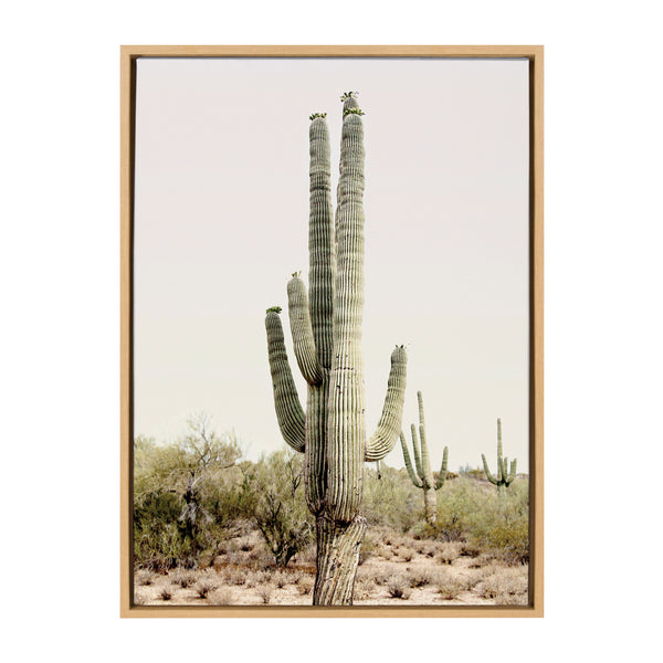 kate & laurel Sylvie Sunrise Cactus Framed Canvas by Amy Peterson Art Studio