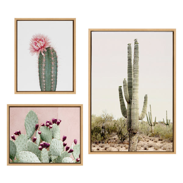 Kate & Laurel Sylvie Sunrise Cactus Pink Cactus Flower And Cactus 25 Framed Canvas By Amy Peterson Art Studio