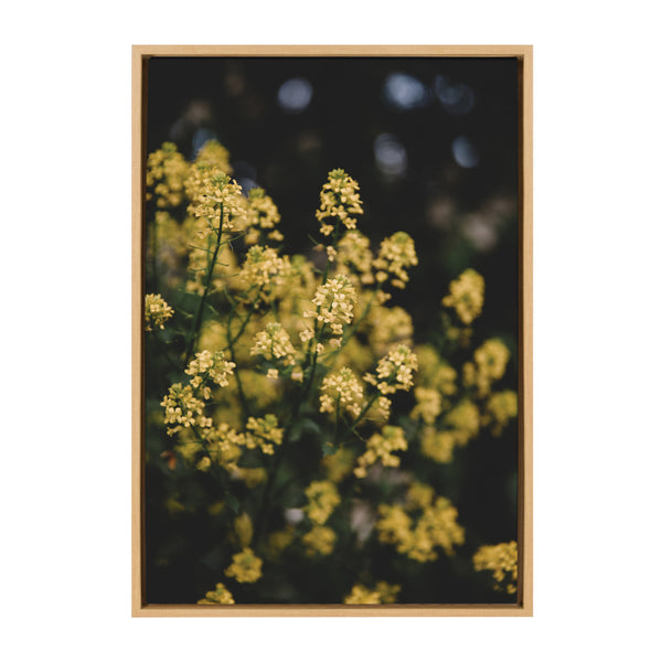 kate & laurel Sylvie Sunshine Flowers Framed Canvas by Patricia Hasz of Patricia Rae Photography