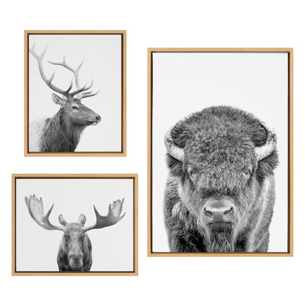 kate & laurel Sylvie Sylvie Bison Portrait Black and White Stag Profile and Moose Framed Canvas Art Set by Amy Peterson Art Studio