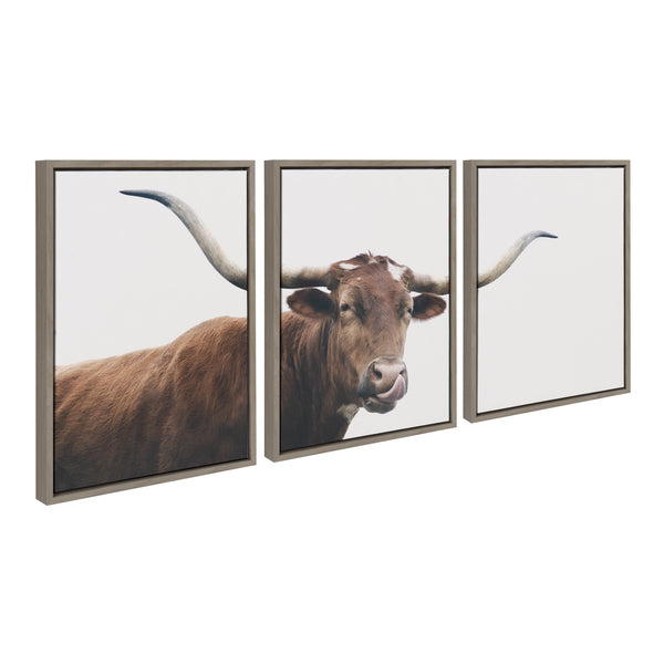 Kate & Laurel Sylvie Texas Longhorn Cow Lick 1 2 3 Framed Canvas By The Creative Bunch Studio