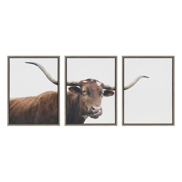 Kate & Laurel Sylvie Texas Longhorn Cow Lick 1 2 3 Framed Canvas By The Creative Bunch Studio