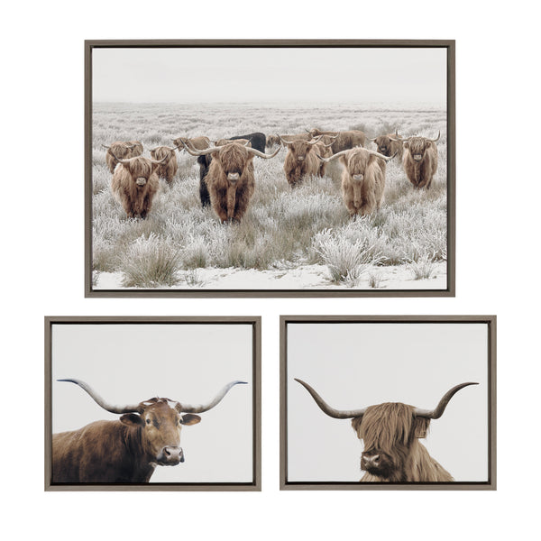 Kate & Laurel Sylvie Texas Longhorn Highland Cow Portrait Close Color And Herd Of Highland Cows Color Framed Canvas Art Set By The Creative Bunch Studio