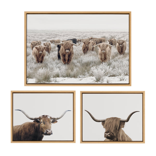kate & laurel Sylvie Texas Longhorn Highland Cow Portrait Close Color and Herd of Highland Cows Color Framed Canvas Art Set by The Creative Bunch Studio