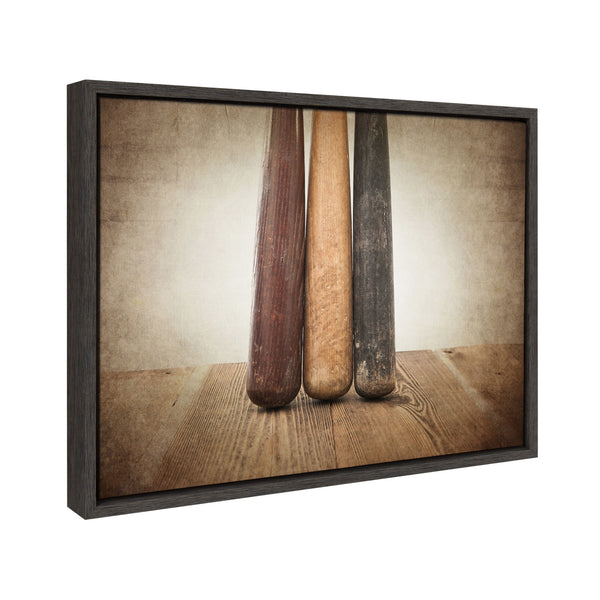 Kate & Laurel Sylvie Three Vintage Bats Framed Canvas By Shawn St. Peter