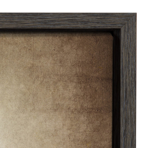 Kate & Laurel Sylvie Three Vintage Bats Framed Canvas By Shawn St. Peter