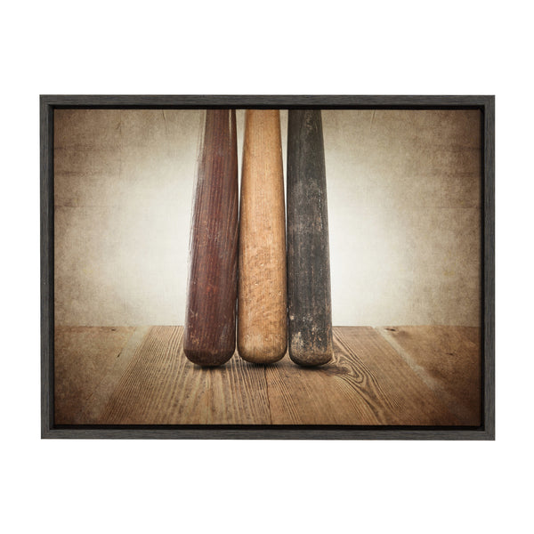 kate & laurel Sylvie Three Vintage Bats Framed Canvas by Shawn St. Peter