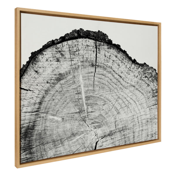 Kate & Laurel Sylvie Tree Rings BW Framed Canvas By Emiko And Mark Franzen Of F2Images