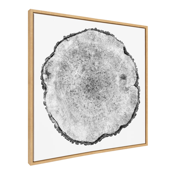 Kate & Laurel Sylvie Tree Rings Framed Canvas By Emiko And Mark Franzen Of F2Images